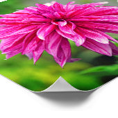 Elegant Roze Dahlia Tuinbloem Motivatie Poster (Hoek)