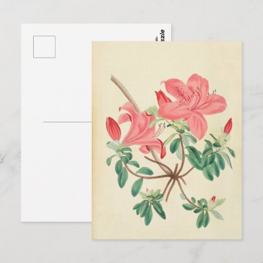 Elegant  roze floreel briefkaart (Voorkant / Achterkant)