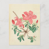 Elegant  roze floreel briefkaart (Voorkant)