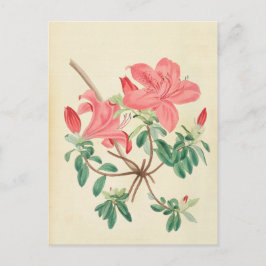 Elegant  roze floreel briefkaart