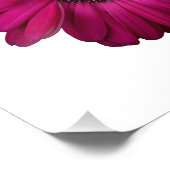 Elegant roze Gerbera Daisy Foto afdrukken (Hoek)