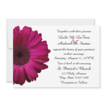 Elegant roze Gerbera Daisy Wedding Invitation