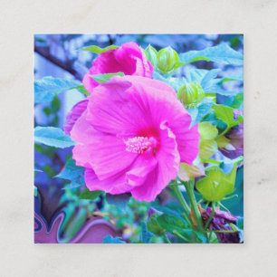 Elegant roze Hibiscus-ventilator met Aqua Foliage Vierkante Visitekaartje
