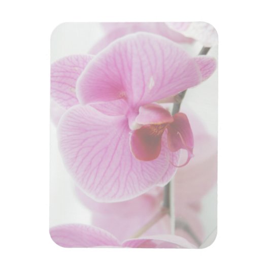 Elegant roze orchidee foto magneet (Verticaal)