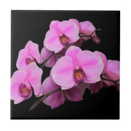Elegant roze orchideeën Phalaenopsis op zwart Tegeltje