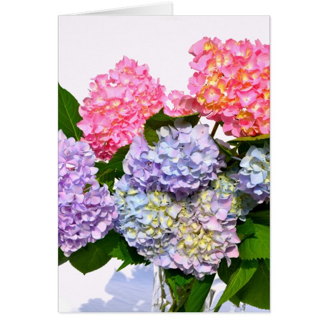 Elegant roze paarse blauw bloemenhortensia boeket (Voorkant)