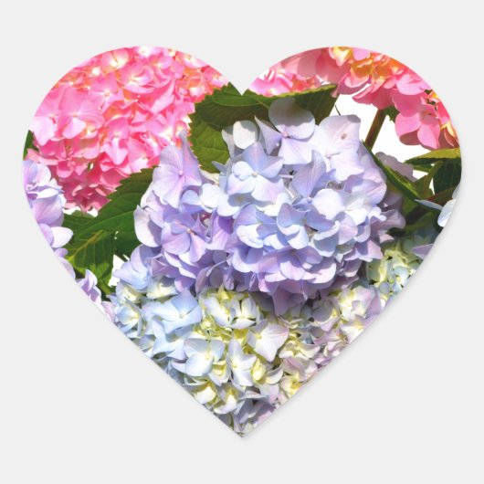 Elegant roze paarse blauw bloemenhortensia boeket hart sticker (Voorkant)