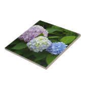 elegant roze paarse blauw Hydrangeas Tegeltje (Zijkant)