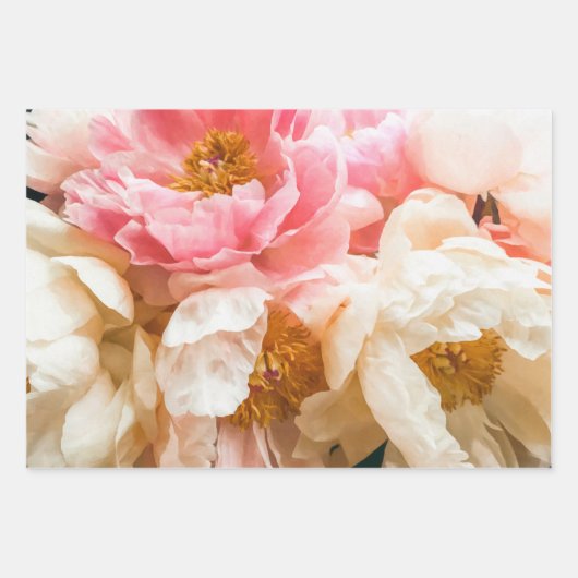 Elegant roze, peach en crème pony's inpakpapier vel (Voorkant 2)