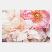 Elegant roze, peach en crème pony's inpakpapier vel (Voorkant)