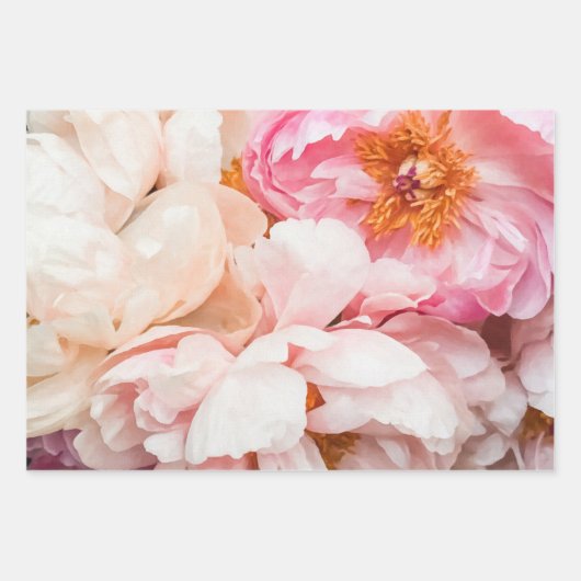 Elegant roze, peach en crème pony's inpakpapier vel (Voorkant)