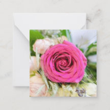 Elegant roze Roos bloem