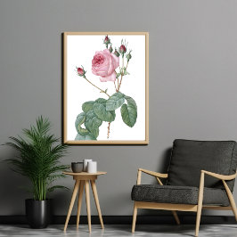 Elegant Roze Rose Botanische Kunst Poster