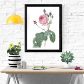 Elegant  Roze Rose Botanische Kunst Poster