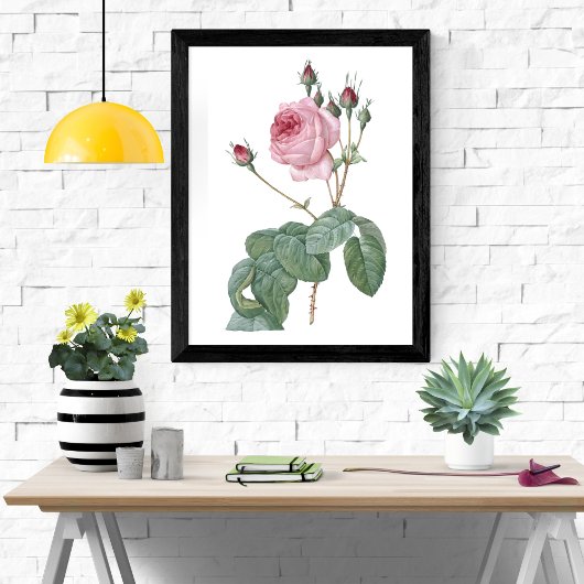 Elegant Roze Rose Botanische Kunst Poster