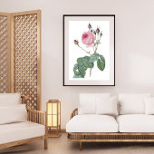 Elegant  Roze Rose Botanische Kunst Poster