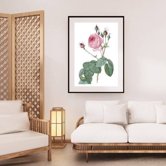 Elegant  Roze Rose Botanische Kunst Poster