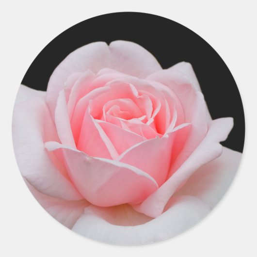Elegant roze Rose Floral Ronde Sticker (Voorkant)
