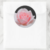 Elegant roze Rose Floral Ronde Sticker (Tas)