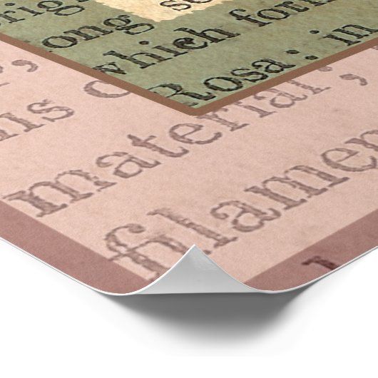 Elegant  Roze Roze Antiek Collage Poster (Hoek)