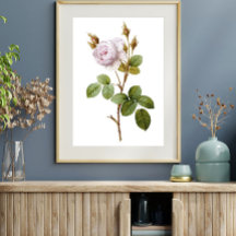Elegant Roze Roze Botanische Printable Poster