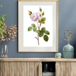 Elegant Roze Roze Botanische Printable Poster