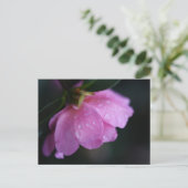 Elegant roze roze gaat dicht bij Dew Feestdagenkaart (Staand voorkant)