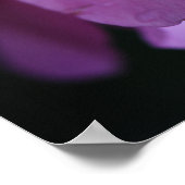 Elegant roze roze gaat dicht bij Dew Poster (Hoek)