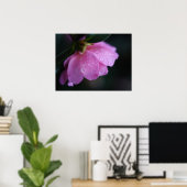 Elegant roze roze gaat dicht bij Dew Poster (Thuiskantoor)