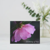 Elegant roze roze gaat dicht bij het diep denken v feestdagenkaart (Staand voorkant)