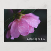 Elegant roze roze gaat dicht bij het diep denken v feestdagenkaart (Voorkant)