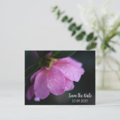 Elegant roze roze roze dicht bij Dew sparen de Dat Feestdagenkaart (Staand voorkant)