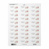 Elegant Roze Rozen Adres Etiket (Full Sheet)