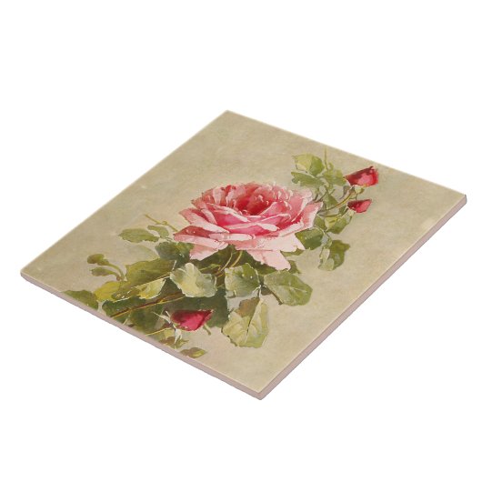 Elegant  roze rozen tegeltje (Zijkant)