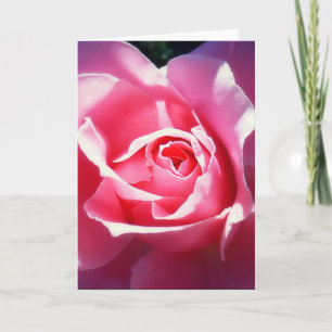 Elegant Roze Rozen Valentijn Kaart