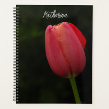 Elegant roze Tulip-fotoscript op maat