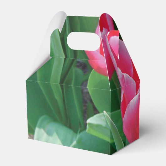 Elegant roze tulps Weddenschap Bedankdoosjes (Achterkant)