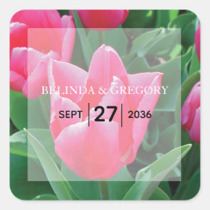 Elegant roze tulps Weddenschap Vierkante Sticker
