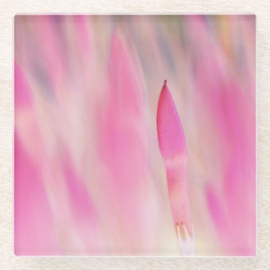 Elegant roze ventilator Onderzetter (Voorkant)