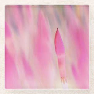 Elegant roze ventilator Onderzetter Glazen Onderzetter