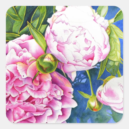 Elegant roze wit klassiek waterverf floral vierkante sticker (Voorkant)