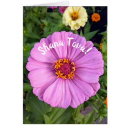Elegant Roze Zinnia Bloem Rosh Hashanah Kaart