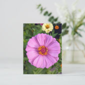 Elegant roze Zinnia Flower Briefkaart (Staand voorkant)