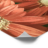 Elegant  roze zonnebloemen Acrylkleding | Poster (Hoek)