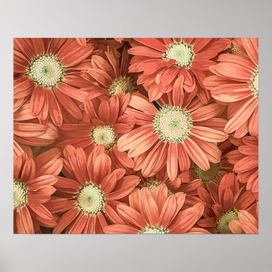 Elegant  roze zonnebloemen Acrylkleding | Poster (Voorkant)