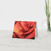 Elegant rozen briefkaarten (Voorkant)