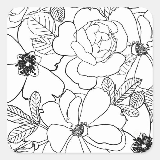 Elegant Rozen Floral Line Tekening Vierkante Sticker (Voorkant)