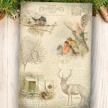 Elegant Rustic Vintage Kerstland Collage Tissuepapier<br><div class="desc">Lossig  winterbos ephemercollage met gegraveerde vlekken,  dennen,  tekst,  schrift,  afbeeldingen van briefkaarten en zoete nestrobins op een verouderde perkamentab. Geschikt voor kerstontvlechting en creatieve projecten.</div>