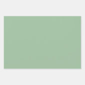 Elegant Sage Green Luxury Wrapping Paper (Voorkant 2)