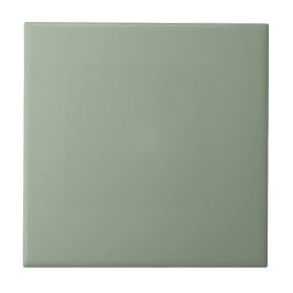 Elegant Sage Green Solid Color Tegeltje